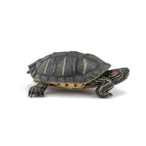 Figurine Tortue de Floride Papo en PVC, thème reptiles, Collection Animaux sauvages, jouet éducatif idéal pour enfants et collectionneurs