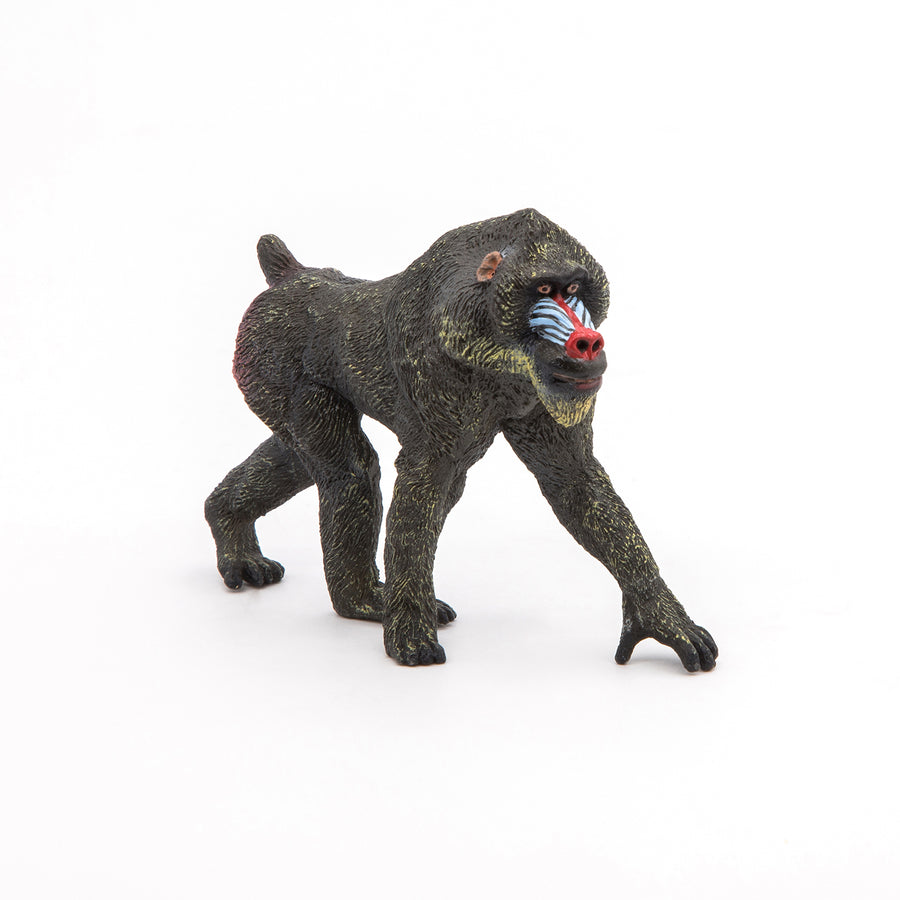 Figurine Mandrill Papo en PVC, thème savane, Collection Animaux sauvages, jouet éducatif idéal pour enfants et collectionneurs