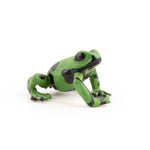 Grenouille équatoriale verte Papo en PVC, Collection Animaux sauvages, jouet éducatif idéal pour enfants et collectionneurs