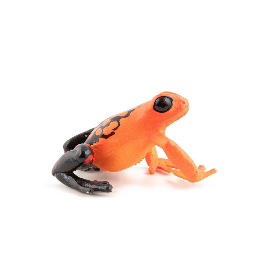 Grenouille équatoriale rouge Papo en PVC, Collection Animaux sauvages, jouet éducatif idéal pour enfants et collectionneurs