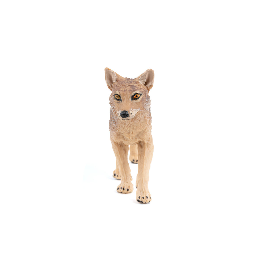 Figurine Chacal Papo en PVC, thème savane, Collection Animaux sauvages, jouet éducatif idéal pour enfants et collectionneurs