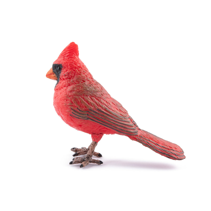 Figurine Cardinal rouge Papo en PVC, thème oiseaux, Collection Animaux des jardins, jouet éducatif idéal pour enfants et collectionneurs