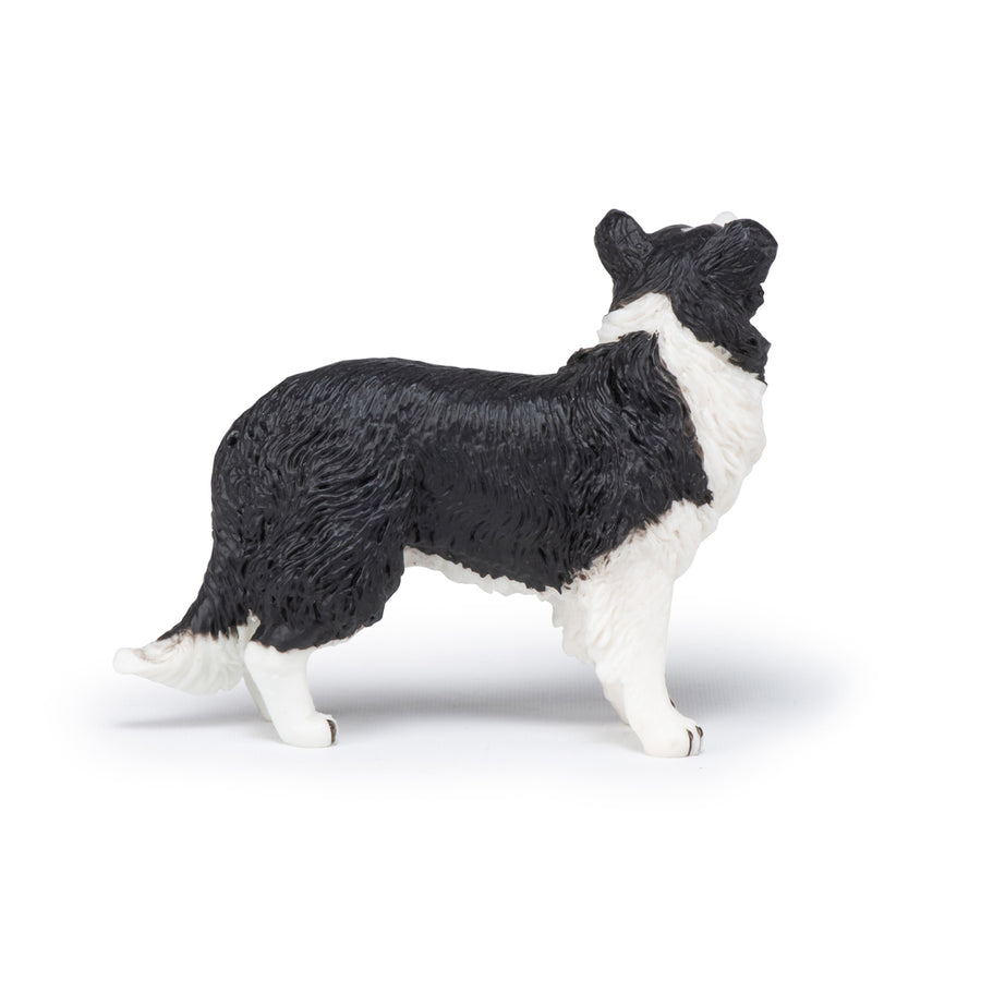 Figurine Border collie Papo en PVC, Collection chiens et chats, jouet éducatif idéal pour enfants et collectionneurs