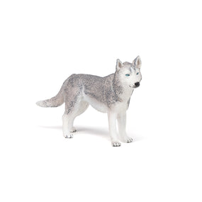 Figurine Husky de Sibérie Papo en PVC, Collection chiens et chats, jouet éducatif idéal pour enfants et collectionneurs