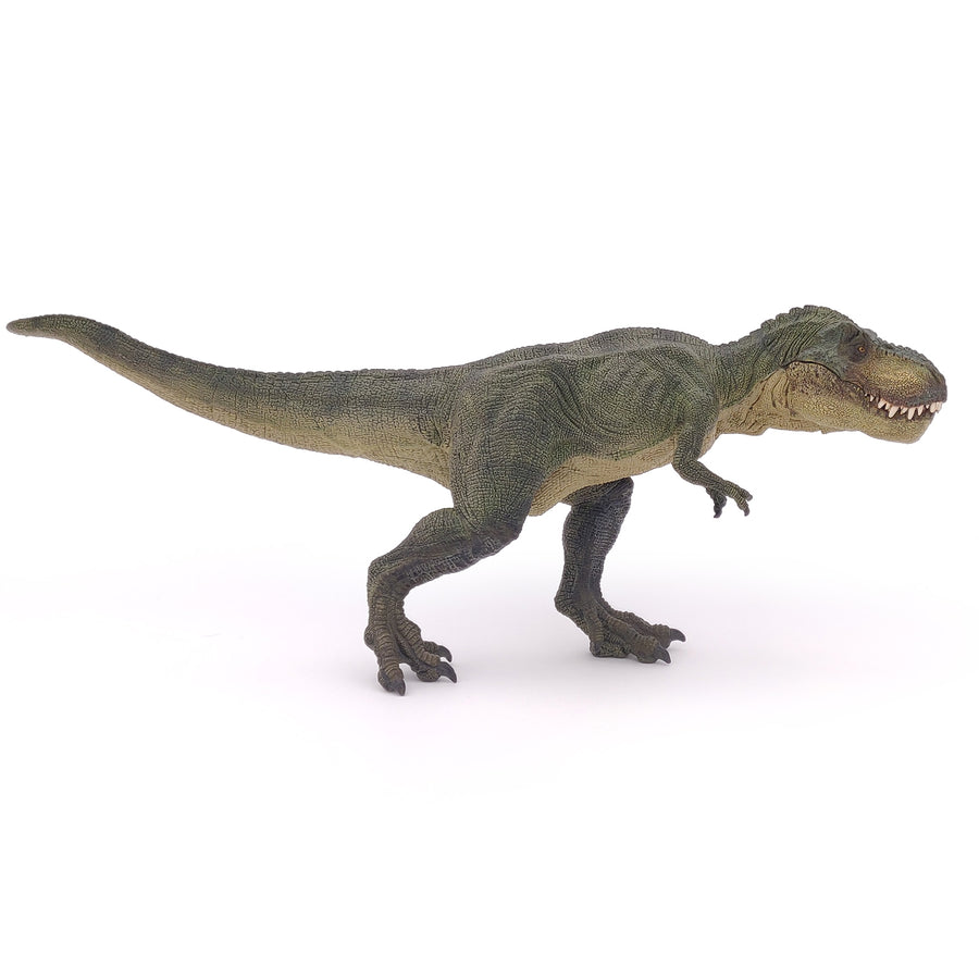 T-Rex courant vert Papo en PVC, Collection Dinosaures, jouet éducatif idéal pour enfants et collectionneurs