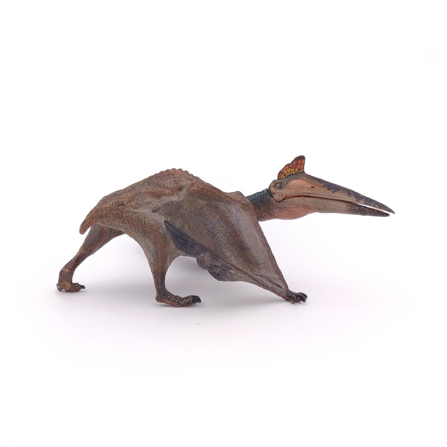 Quetzalcoatlus Papo en PVC, Collection Dinosaures, jouet éducatif idéal pour enfants et collectionneurs
