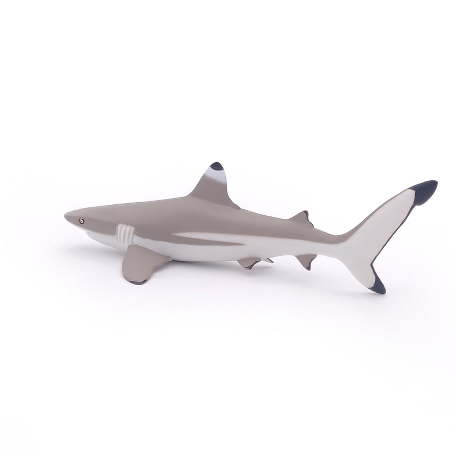 Figurine Requin à pointes noires Papo en PVC, Collection animaux marins, jouet éducatif idéal pour enfants et collectionneurs