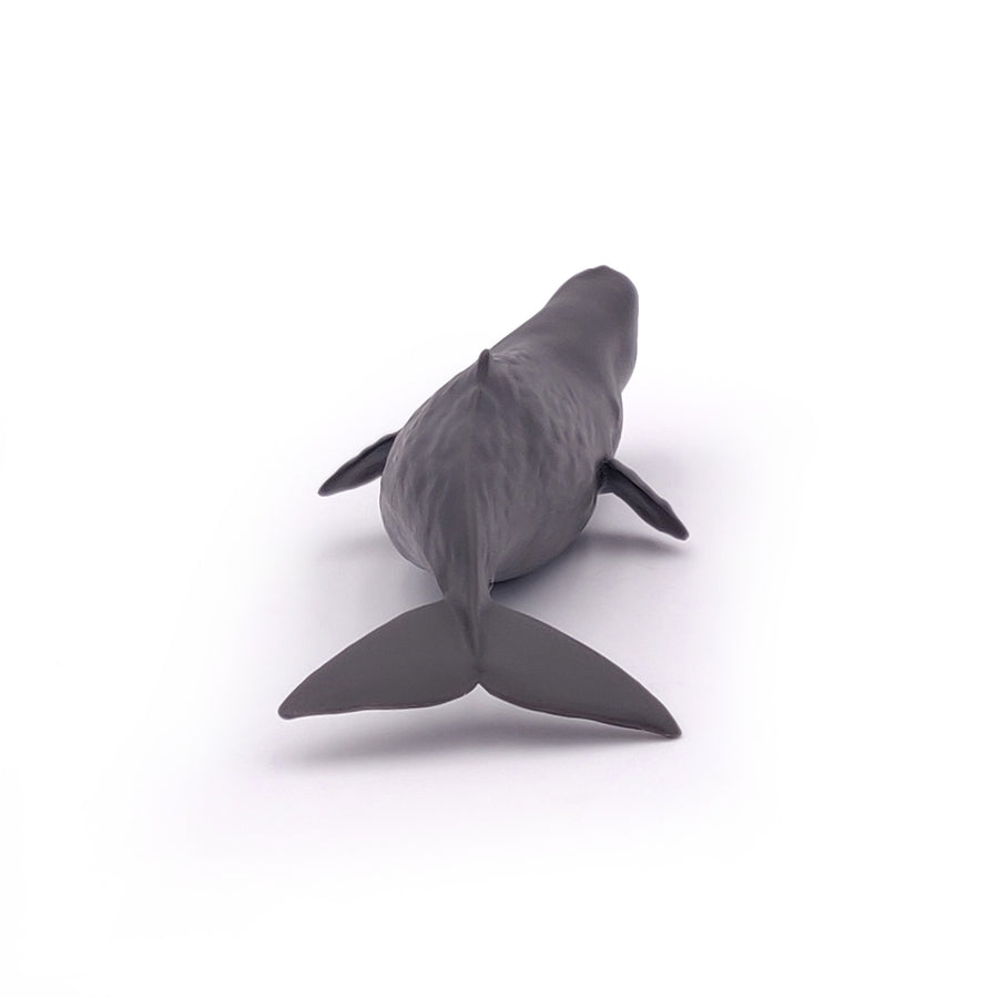 Bébé cachalot Papo en PVC, Collection animaux marins, jouet éducatif idéal pour enfants et collectionneurs